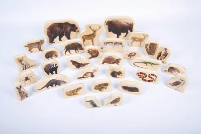 Produktbild von TickiT Holztiere - Wald (30 Stück)