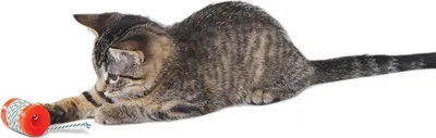 Immagine prodotto di Petstages, giocattolo per gatti, "Orkakat", con erba gatta, colore arancione