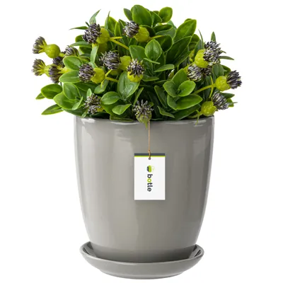 A gray ceramic planter with a green artificial plant and a small tag.