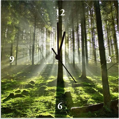 A clock face superimposed on a forest scene with sunbeams.