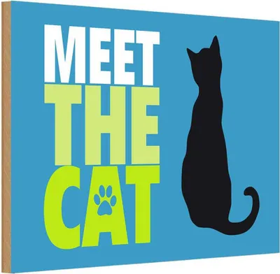 Produktbild von vianmo Holzschild 12x18 cm meet the cat Katze Tier Haustier