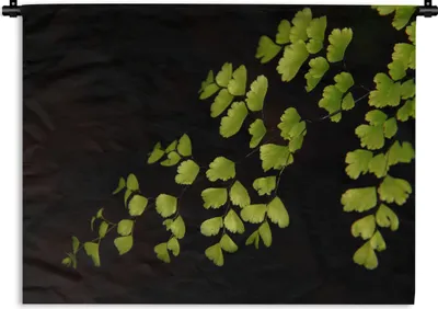 Produktbild von MuchoWow® Wandteppich Wandbehang Mehrere Venus Haar Blätter auf einem schwarzen Hintergrund 60x45 cm Tapisserie Dekoration Wandtuch - Das Schlafzimmer