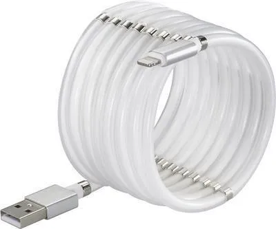 Obrázek produktu pro Renkforce TO-6897012, 1 m, Lightning, USB A, Samec, Samec, Bílá