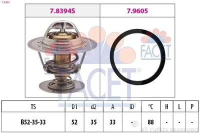Produktbild von FACET Thermostat + Dichtung