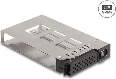 Produktbild von DELOCK Wechselrahmen Einschub 1 x 2.5 U.2 NVMe SSD