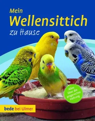 Produktbild von Mein Wellensittich zu Hause: Ratgeber für Anschaffung, Eingewöhnung, Ernährung, Pflege, Herkunft & Verhalten
