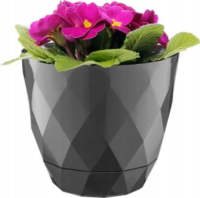 Productafbeelding van Zwarte plastic deksel, 15x17,5 cm, voor bloempot met onderzetter