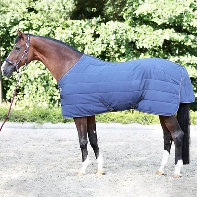 Produktbild von Kavalkade Stalldecke Calgary 300g
