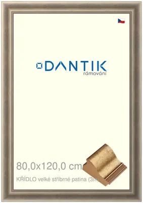 Obrázok produktu pre DANTIK rám 80x120 | WING veľká strieborná patina (plexisklo číre)