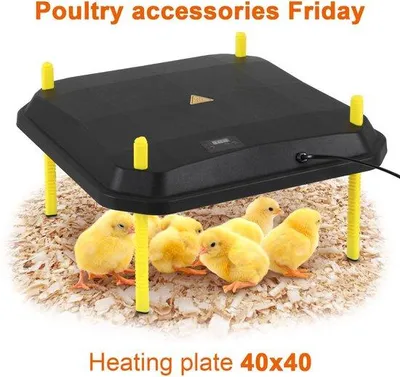 Immagine prodotto di Piastra riscaldante elettrica da 50 W, 30 x 30 cm, per pulcini - Nero/Giallo con termostato