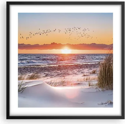 Produktbild von Gerahmtes Poster - Schwarzer Rahmen - Sonne Strand Vögel - 50x50 cm - Wand Bild - Wanddeko - Wandbilder - Kunstposter - Wandposter - Bilderrahmen - Bilder - Kunstdruck - P2BAC50x50-4727
