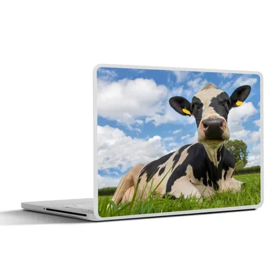 Produktbild von MuchoWow® Laptop Aufkleber Sticker Cover Kuh - Gras - Himmel 36.5x27.5 cm - Laptop-Sticker