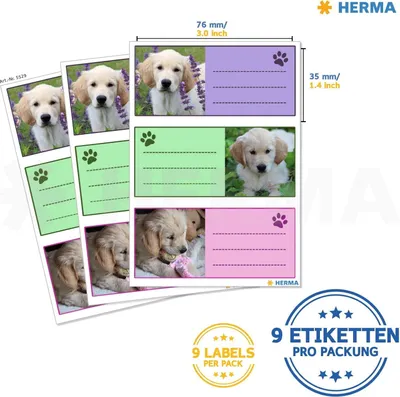 Obrázek produktu pro HERMA 5529, Vícebarevný, Obdélník, Permanentní, Papír, 3 kusů, 3 listy