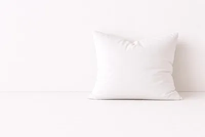 Image de Oreiller Microfibre moelleux - 60 x 60 - 3950