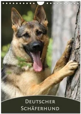 Produktbild von Deutscher Schäferhund (Wandkalender 2024 DIN A4 hoch), CALVENDO Monatskalender