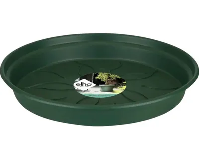 Produktbild von Untersetzer elho Green Basics Kunststoff Ø 17 H 2 cm grün