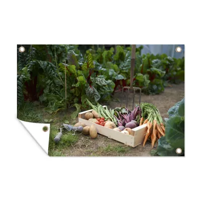 Obrázek produktu pro MuchoWow® Zahradní plakáty - Zelenina na zahradě - 120x180 cm - Zahradní dekorace