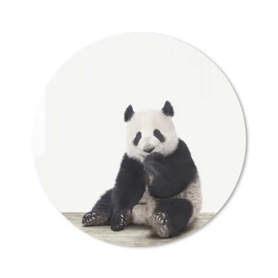 Produktbild von MuchoWow® Mauspad Mousepad Tiere - Panda - Schwarz - Weiß 20x20 cm - Mousepads - Maus Mat - Pad - Mausunterlage - Schreibtischmatte