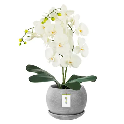 Immagine prodotto di Fioriera Fioriera rotonda grigio scuro con piattino Ceramica opaca rotonda Modern glamour Altezza 16 cm