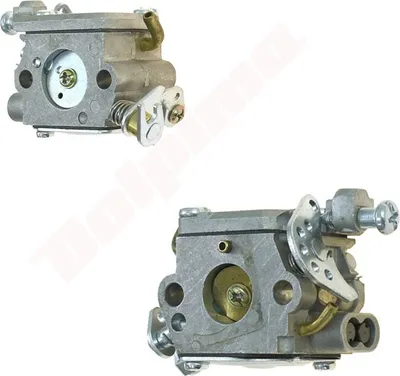 Image de Carburateur Pour Oleomac Gs 35 , Gs350 ( 50240045R )