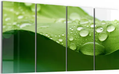 Produktbild von DEQORI Glasbild Echtglas 4x30x60 cm 'Tropfenfrische' Wandbilder XXL groß