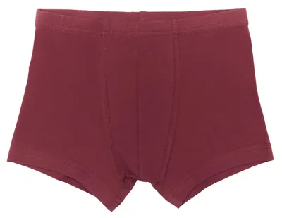 Produktbild von Bio-Baumwoll-Jungen Retroshorts