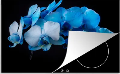 Produktbild von KitchenYeah© Herdabdeckplatte Blaue Orchidee vor schwarzem Hintergrund , 78x52cm, Küche Deko, Glaskeramikkochfeld Herdabdeckung, Abdeckplatte fùr Kochfeld