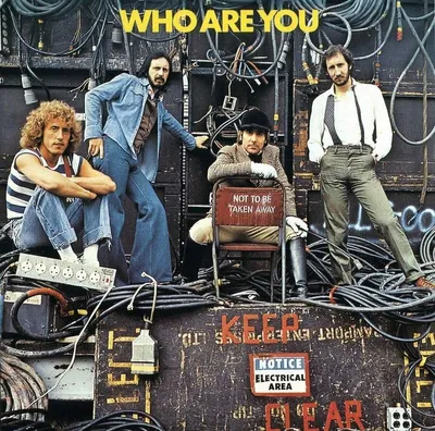 Zdjęcie produktu dla The Who - Who Are You (Reissue) (180 g) (LP)