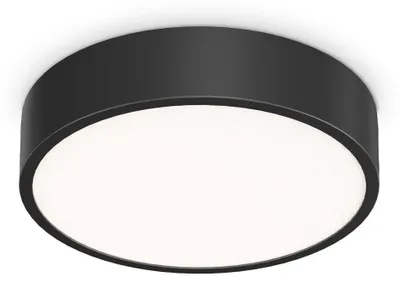 Obrázok produktu pre Moderné stropné svetlo Ray Metal Black Led Integrated 13W 3000K Ip44