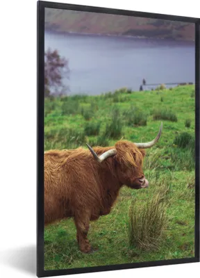 Produktbild von MuchoWow® Gerahmtes Poster Schottische Highlander - Gras - Wasser - Tiere 60x90 cm - Poster mit Schwarzem Bilderrahmen Wandposter Rahmen Foto Bilder - Kunst