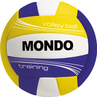Obrázek produktu pro Volejbalový míč Training Indoor