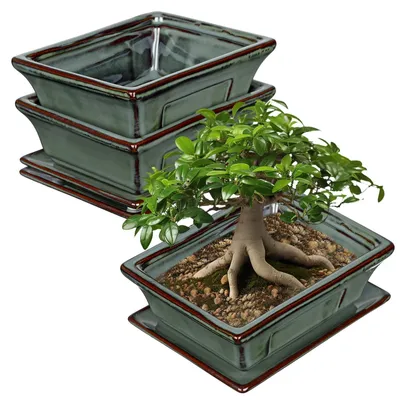 Immagine prodotto di Omgoods - Set di 2 vasi in Vetroceramica per bonsai, con sottovaso, 16 cm