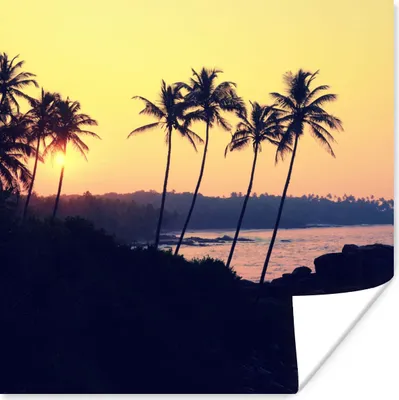 Produktbild von MuchoWow® Poster Meer - Palme - Abend - Landschaft 100x100 cm - Babyzimmer