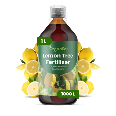 Produktbild von Zitronenbaum Flüssigdünger 1L – 2-1-8 NPK – Flüssig-Pflanzendünger für Zitronenbäume – Organifer