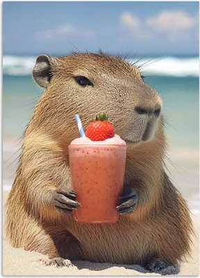 Produktbild von Modernes Wandposter CAPYBARA am Strand Jugendposter 50x70