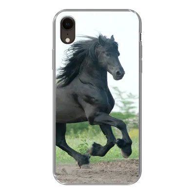 Produktbild von MuchoWow® Handyhülle Schutzhülle Hülle für iPhone XR Pferd - Schwarz - Natur Silikon Softcase Handy Hülle - Schutzdeckel