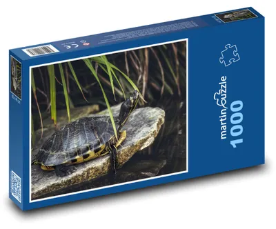 Obrázek produktu pro Puzzle 1000 Želva u rybníka - martinpuzzle
