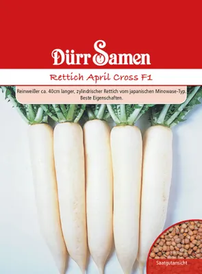 Produktbild von Rettich April Cross F1 | Rettichsamen von Dürr Samen