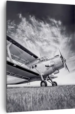 Produktbild von Bild auf Leinwand - Leinwandbild - Einteilig - Flugzeug An-2 Schwarzweiß - 70x100cm - Wand Bild - Wanddeko - Wandbilder - Leinwanddruck - Wanddekoration - Leinwand bilder - Wandbild - PA70x100-4363