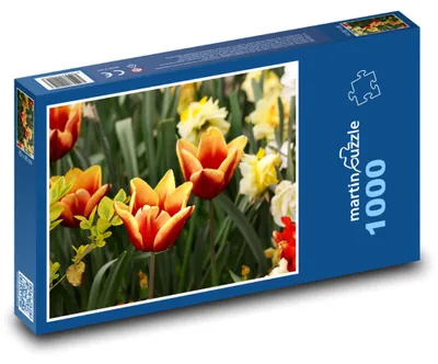 Obrázek produktu pro Puzzle 1000 Kvetoucí jarní tulipány - martinpuzzle