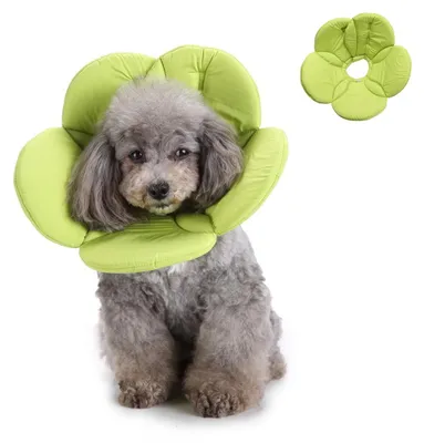 Produktbild von OP-Schutzkragen für Hunde, Halskragen für Hunde und Katzen (Grüne Blume), L