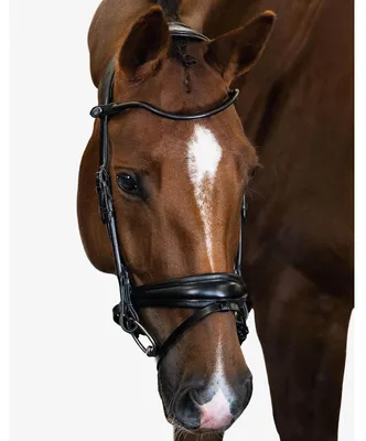 Produktbild von PS of Sweden Trense GP Trensenzaum Black Cob