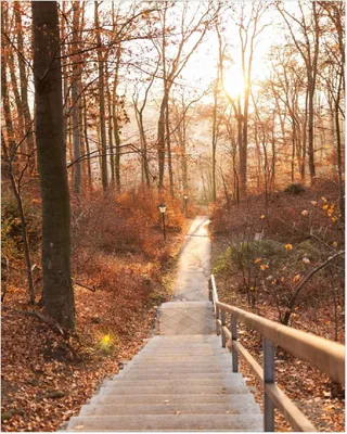 Produktbild von Wallario Poster - Weg in den Sonnenuntergang, Kunstdruck Größe: 40 x 50 cm