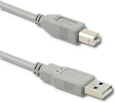 Image de Câble USB 2.0 Qoltec Connecteur A | Connecteur B | 1 m