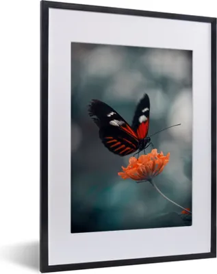 Produktbild von MuchoWow® Gerahmtes Poster Schmetterling - Blume - Insekt 30x40 cm - Poster mit Schwarzem Bilderrahmen Wandposter Rahmen Foto Bilder - Wandposter Schlafzimmer