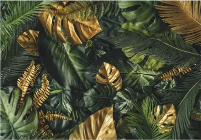 Produktbild von Fototapete Monstera Blätter Grün Gold Natur Pflanzen 200x140 cm - inkl. Kleister - für Wohnzimmer Schlafzimmer Flur Modern Vlies Tapete Vliestapete Wandtapete Motivtapeten UV-Beständig