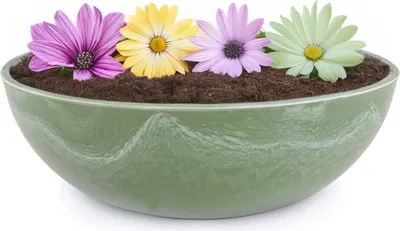 Image de Jardinière pour l'extérieur Coupelle décorative ronde verte Vintage 25 cm