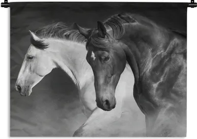 Produktbild von MuchoWow® Wandteppich Wandbehang Pferde - Tiere - Schwarz - Weiß - Porträt 150x112.50 cm Tapisserie Dekoration Wandtuch - Wanddecke - Wandteppiche