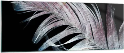 Produktbild von Bilder auf glas - Einteilig - Feder die Farben Zartheit - 140x50cm - Glasbilder - Wandbilder - Bilder - Wanddekoration aus Glas - Glas Bilder - Wandbild auf Glas - GAB140x50-4959
