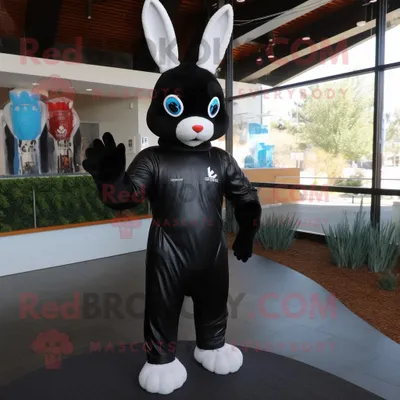 Produktbild von Schwarzer REDBROKOLY Hase als Maskottchen kostüm bekleidet mit einem Rashguard und Fäustlingen